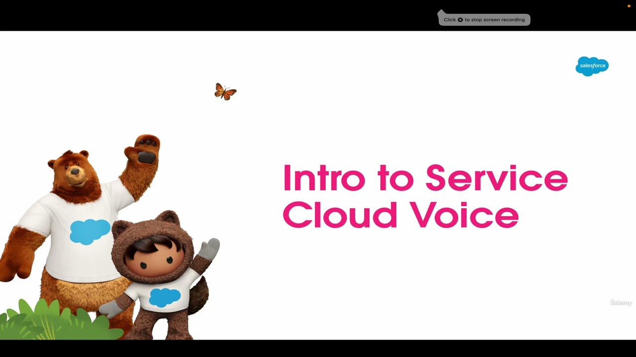 Introducing Salesforce Service Cloud Voice