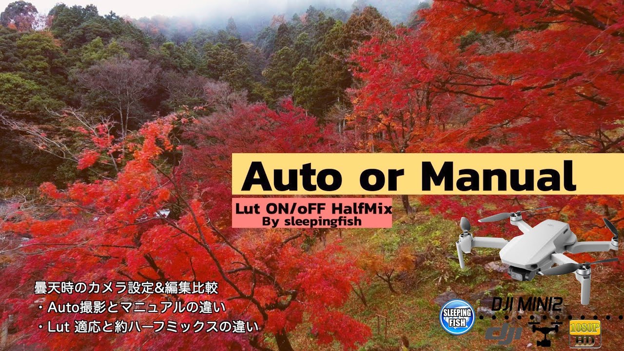 DJI MINI2 紅葉とAuto or マニュアル と Lutハーフ