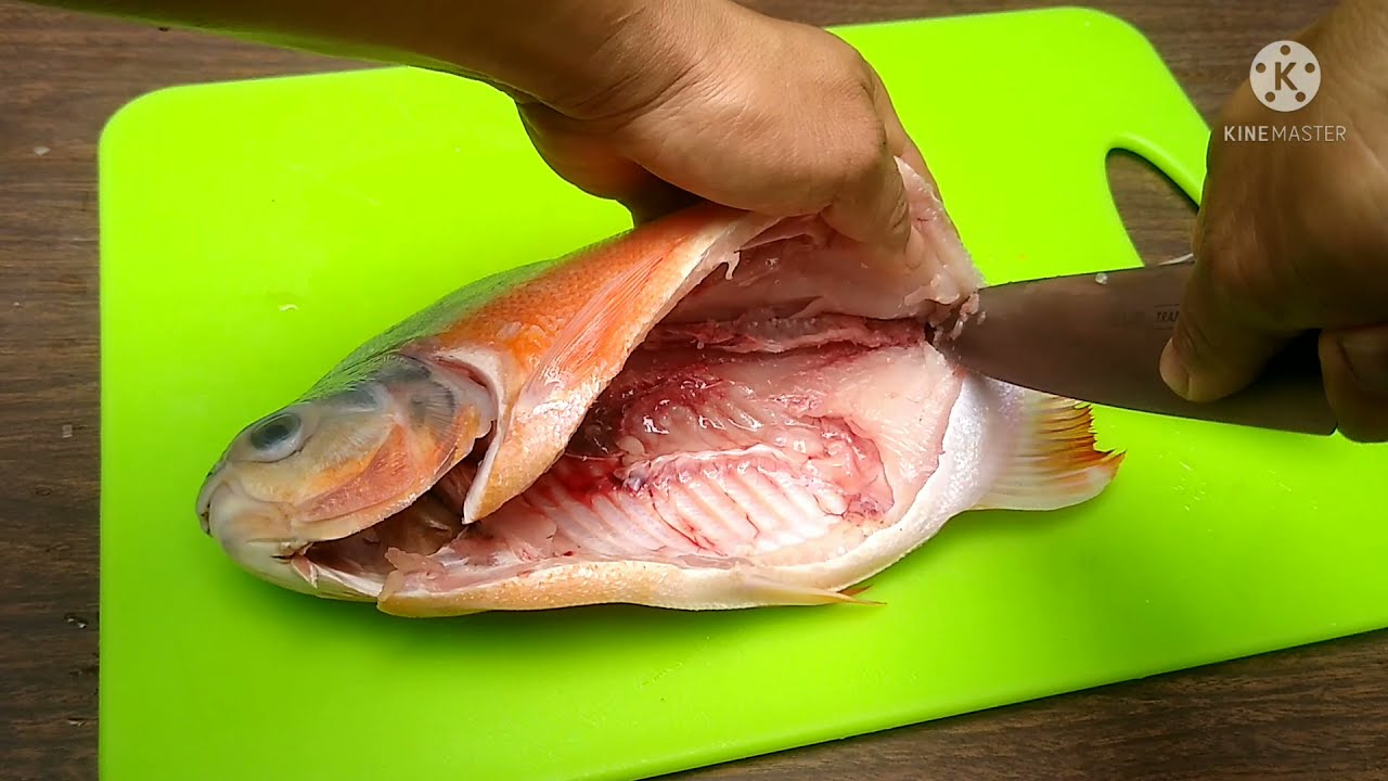 Pescado relleno/ Pescado relleno con vegetales/ / Pescado relleno asado en Sartén. Cachama rellena