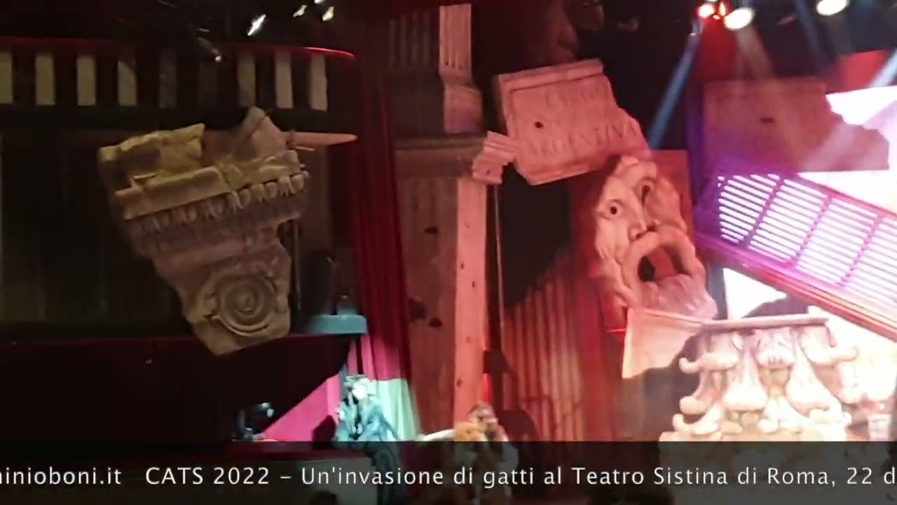 Cats 2022