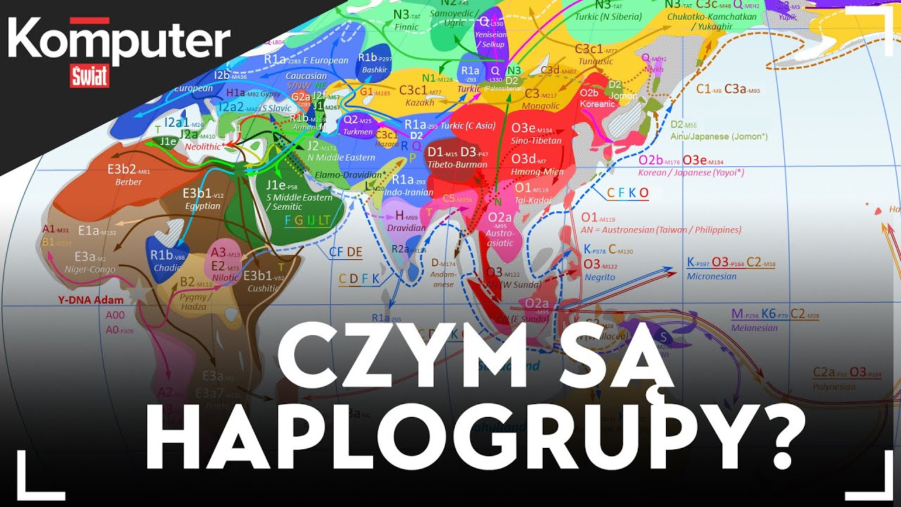 Czym są haplogrupy? DNA zapisuje dane o naszych przodkach