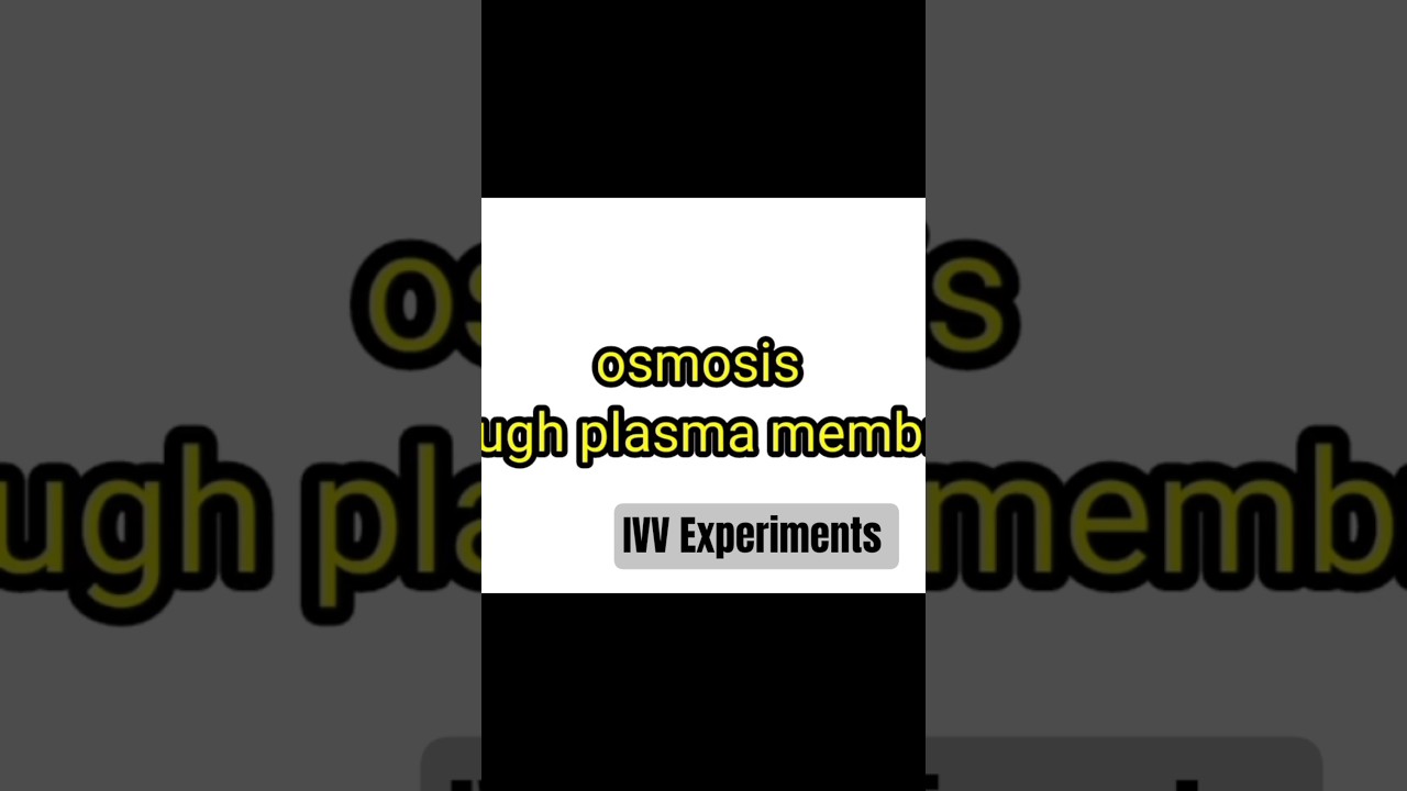 Osmosis Through Plasma Membrane Experiment 