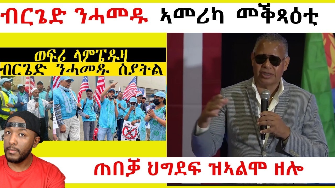 ጠበቓ ህግደፍ 