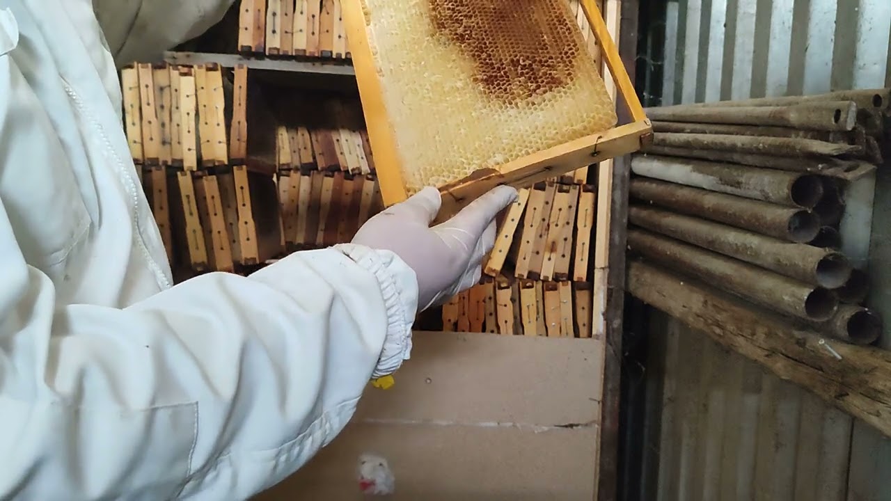 συντηρηση πλαισιων ευκολα και οικονομικα