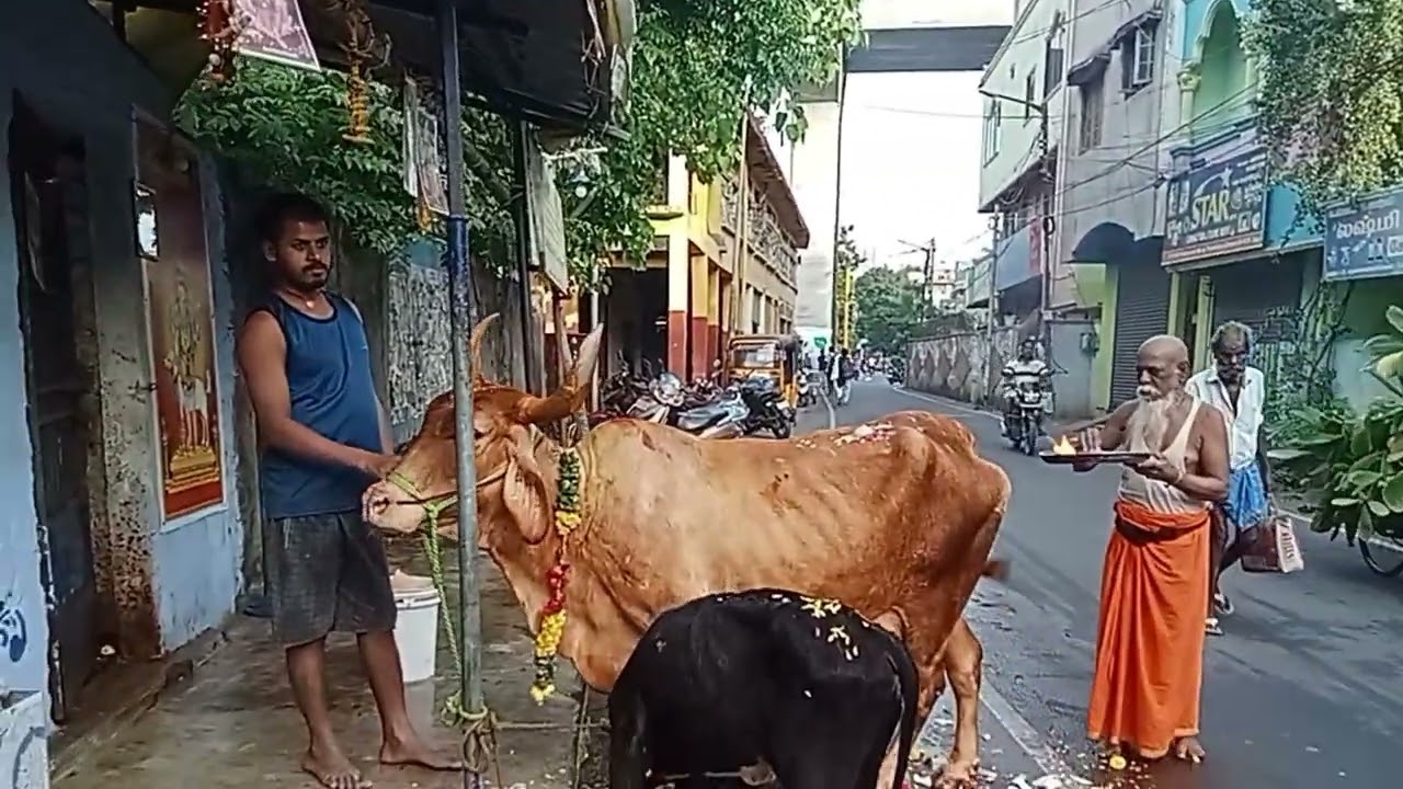 கோமாதா பூஜை