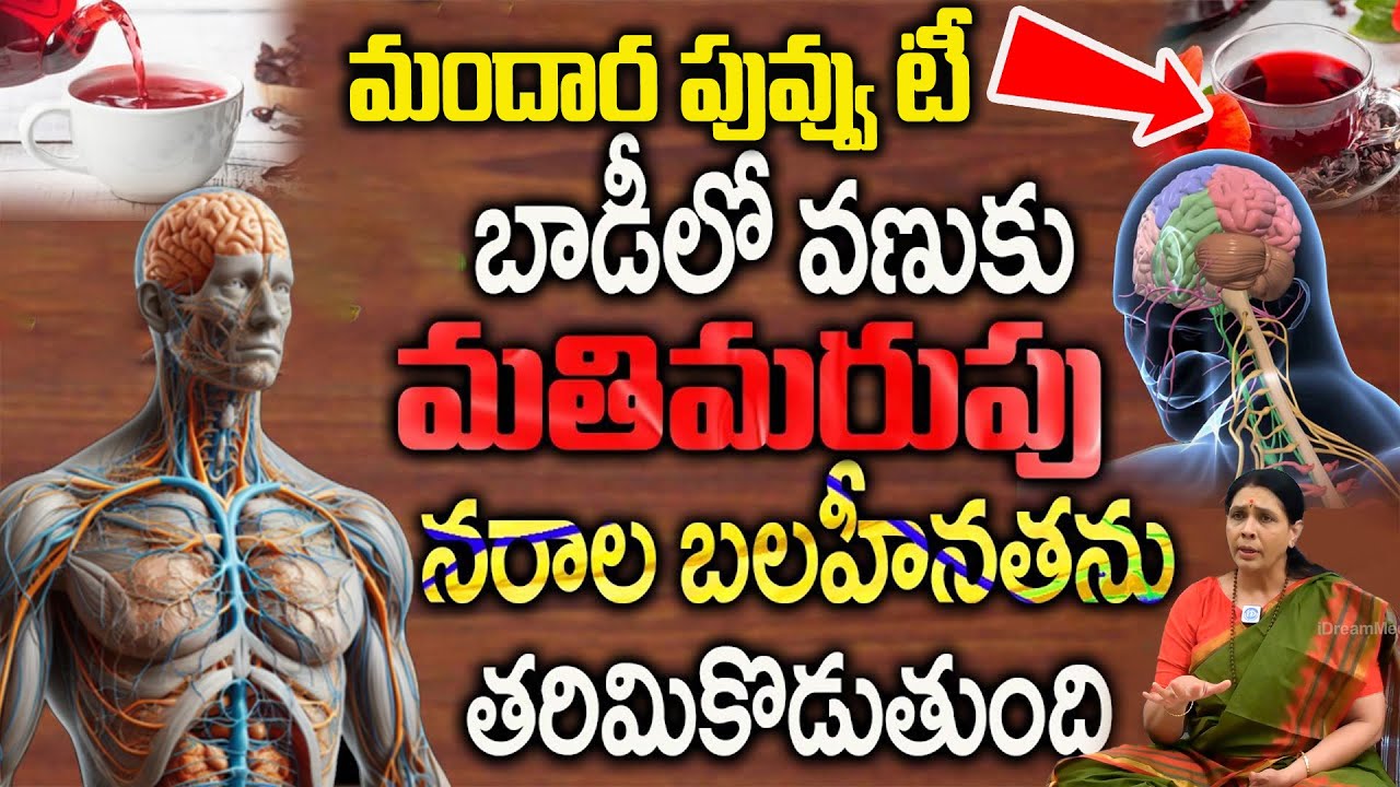 పట్టు పట్టి ఒక గ్లాస్ తాగండి నరాల బలహీనత జన్మలో రాదు.. || Nerve Weakness || Aruna Yoga @arunayoga