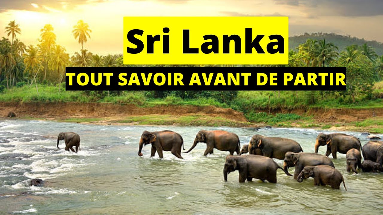 VOYAGE AU SRI LANKA 2025 : BUDGET ITINÉRAIRE BONS PLANS CONSEILS