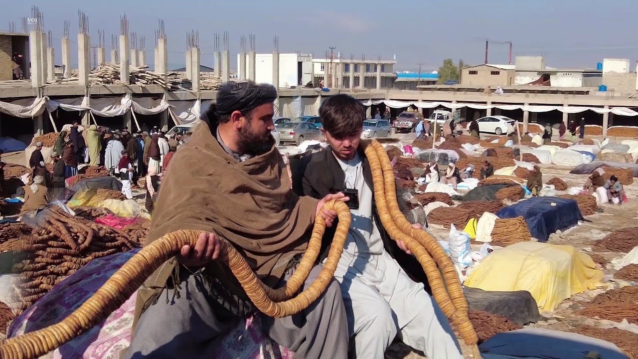 Figs of kandahar | Dried Fruit Afghanistan | انجیر قندهار