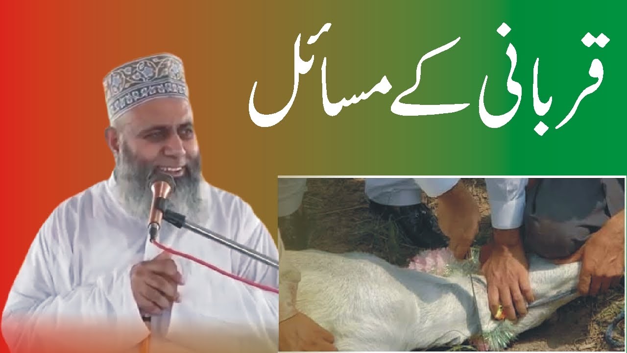 Molana Muhammad Abdul Hameed Taunsvi  16 8 2018 Tibi360p