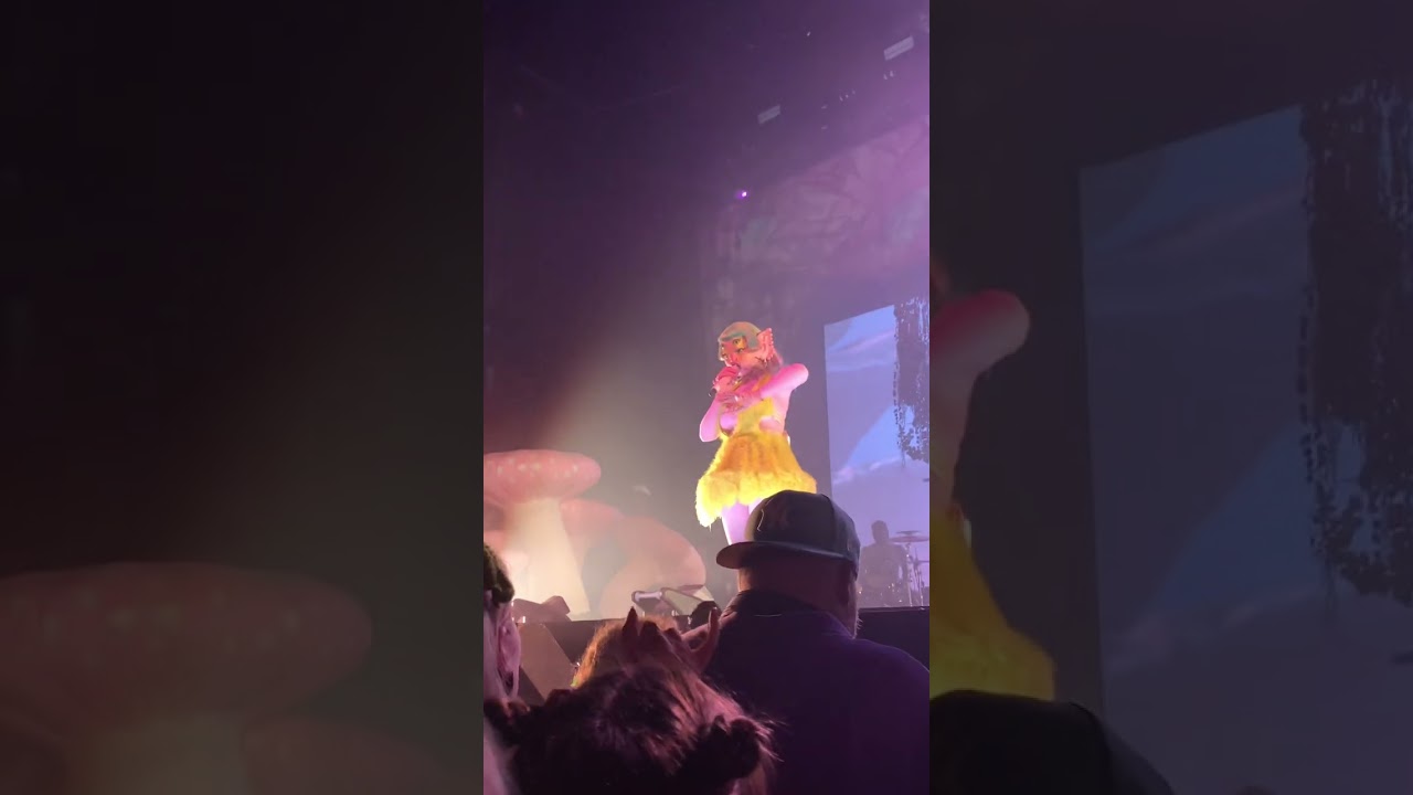 Melanie Martinez -THE CONTORTIONIST (live in Montreal)