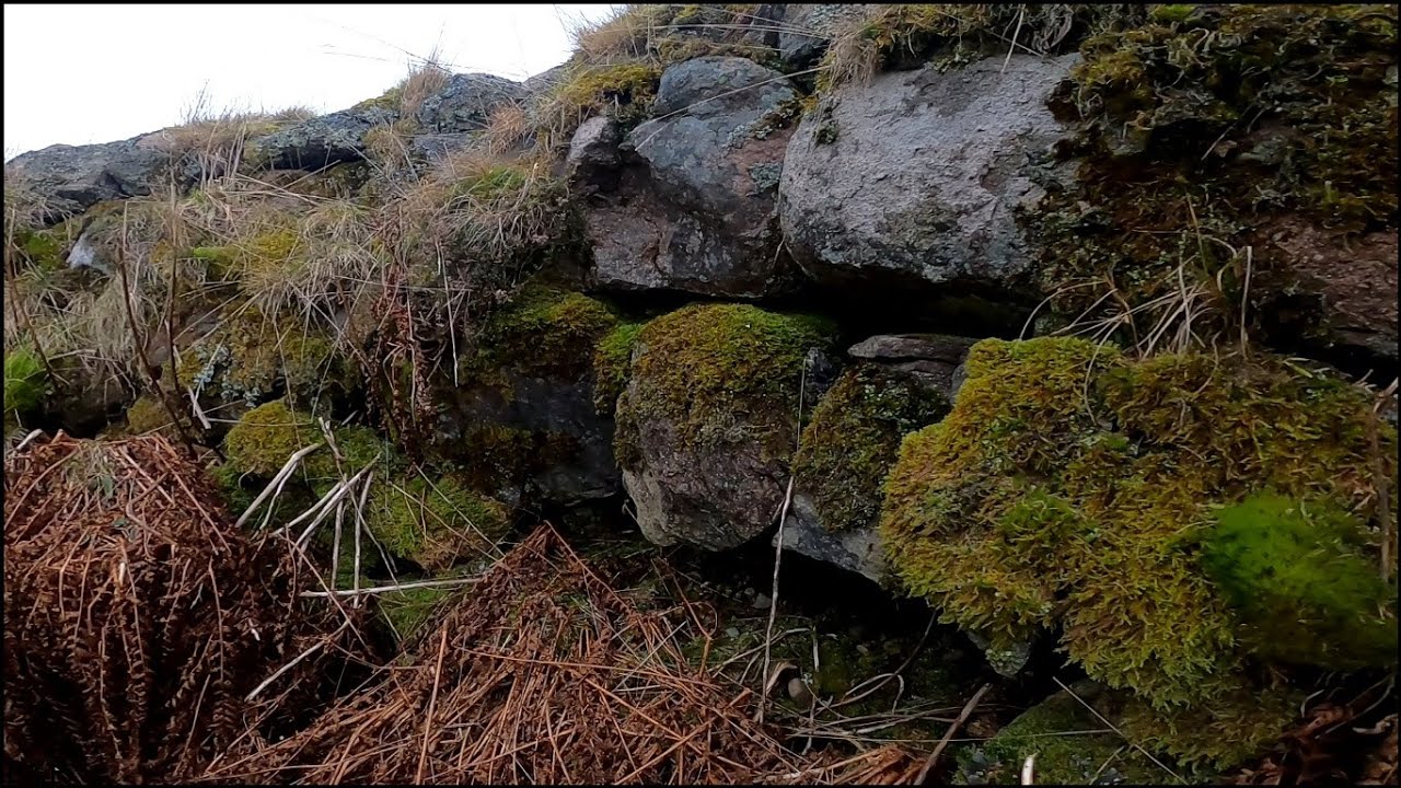 ABANDONED 1700's Highland Cottage - SCOTLAND