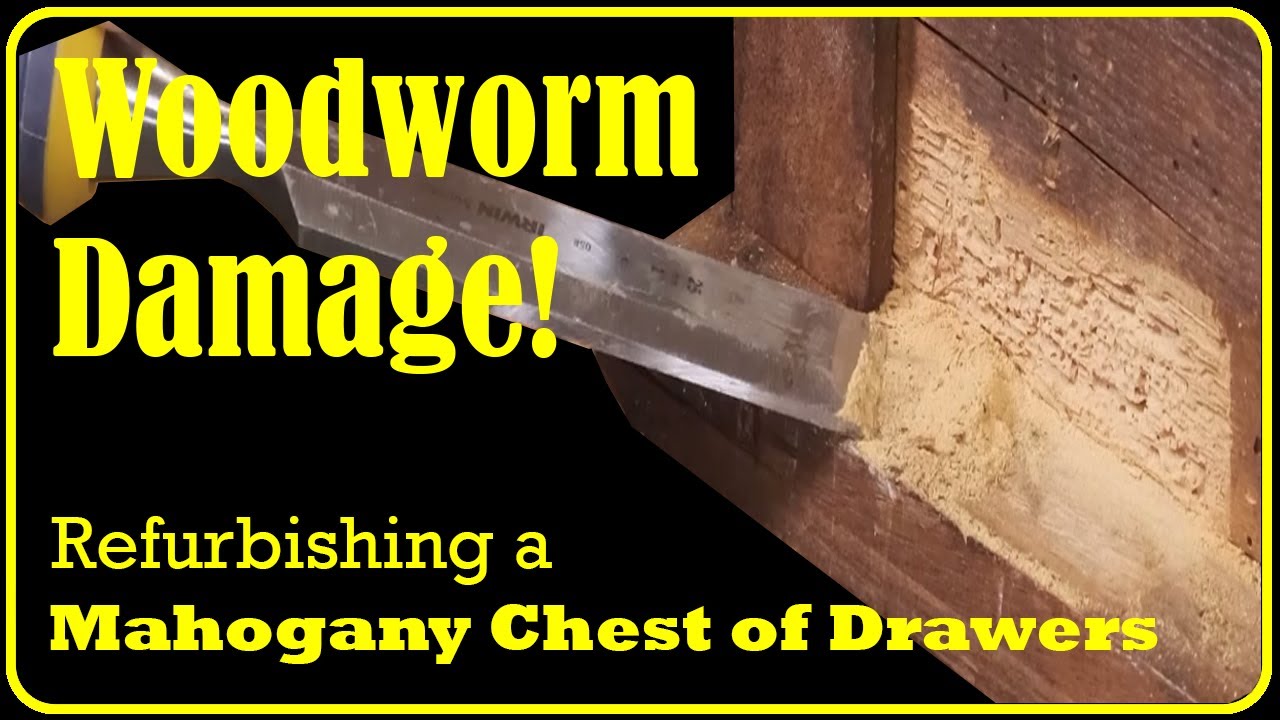 Restoring A Vintage Mahogany Chest Of Drawers - Uncovering Hidden Woodworm Damage!