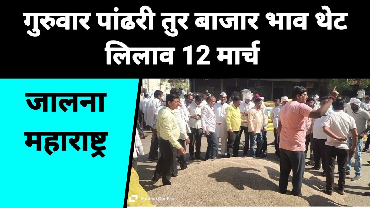 गुरुवार पांढरी तुर बाजार भाव थेट लिलाव 12 मार्च जालना महाराष्ट्र || तुरीला काय मिळतो भाव