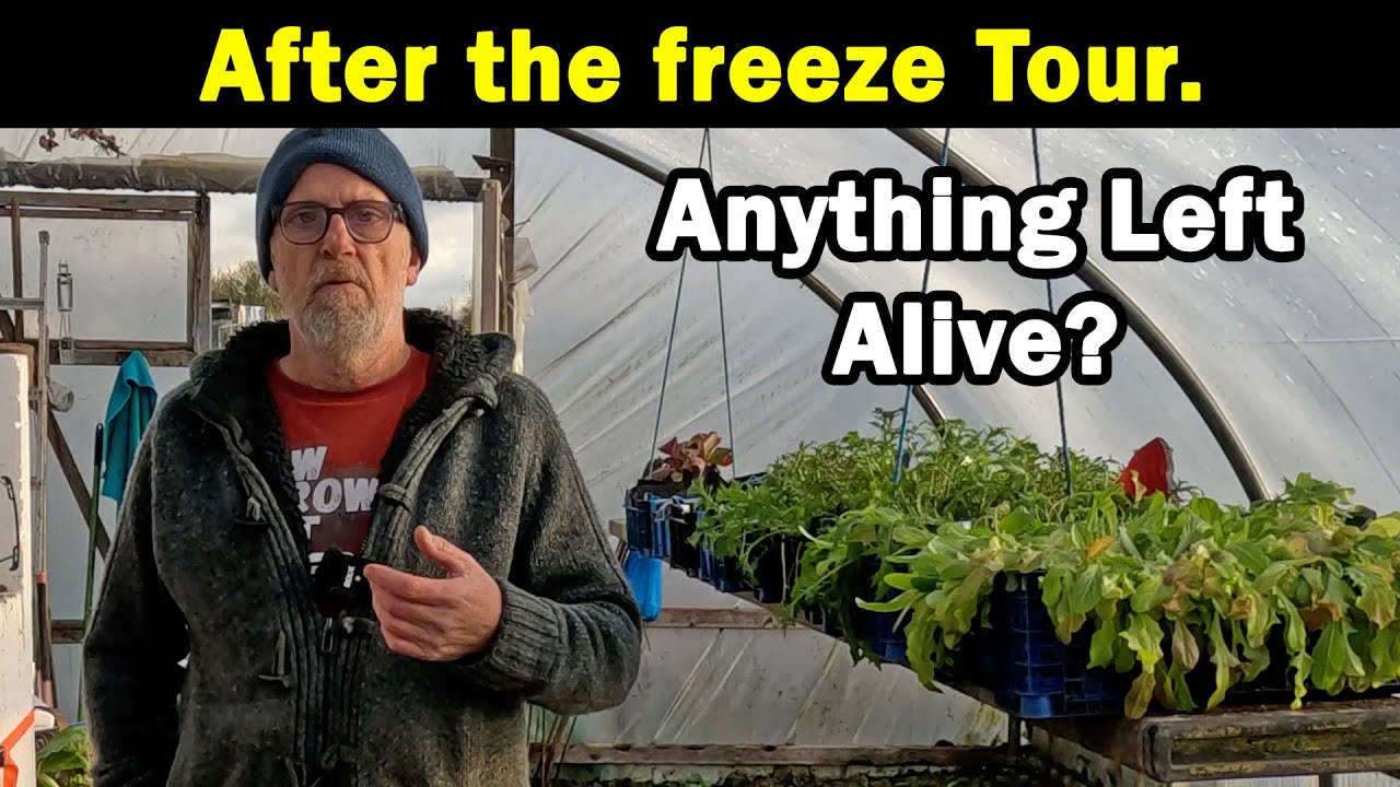 After the Freeze | Anything left Alive | December Tour | Green Side Up