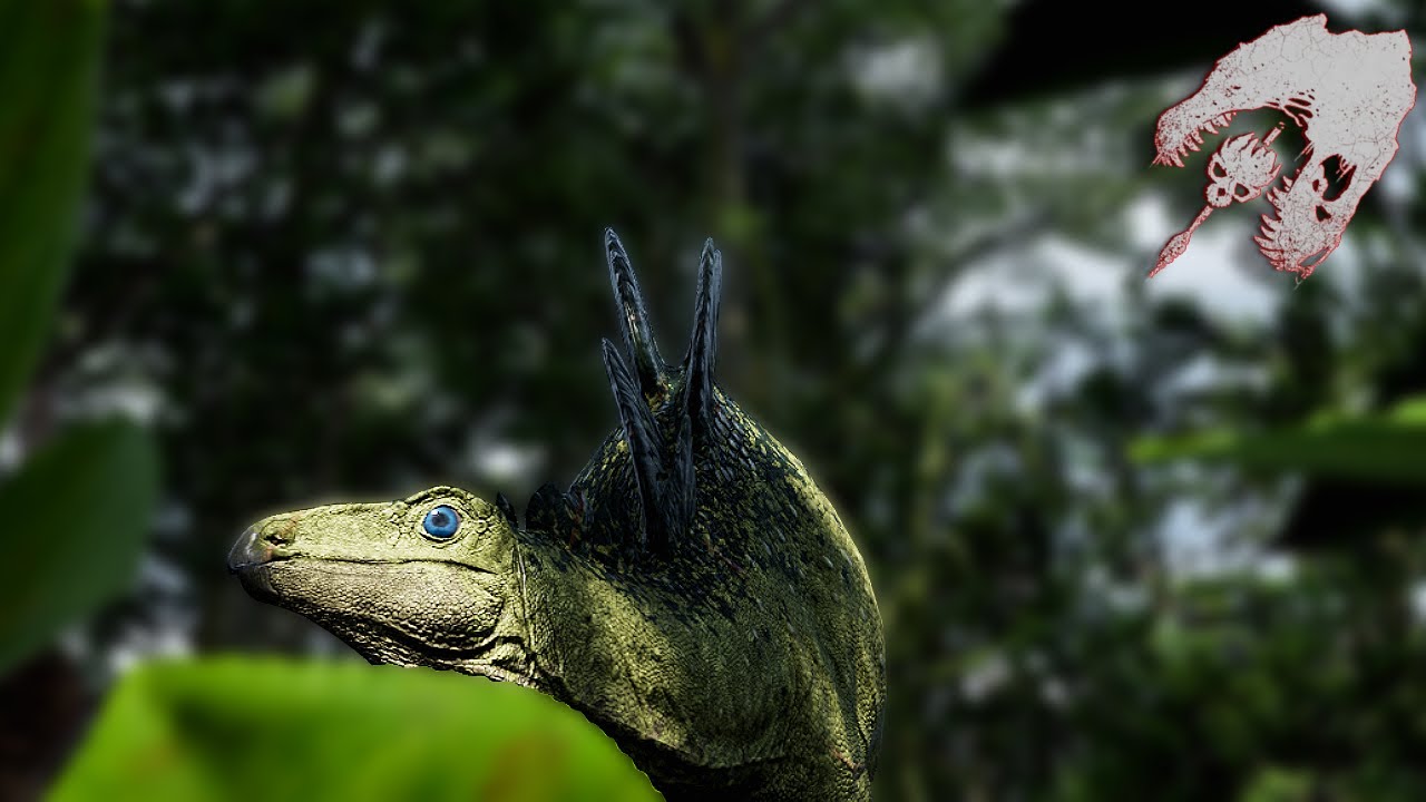 Here's why growing a Stegosaurus in update 6 is dangerous | The Isle Evrima Gameplay