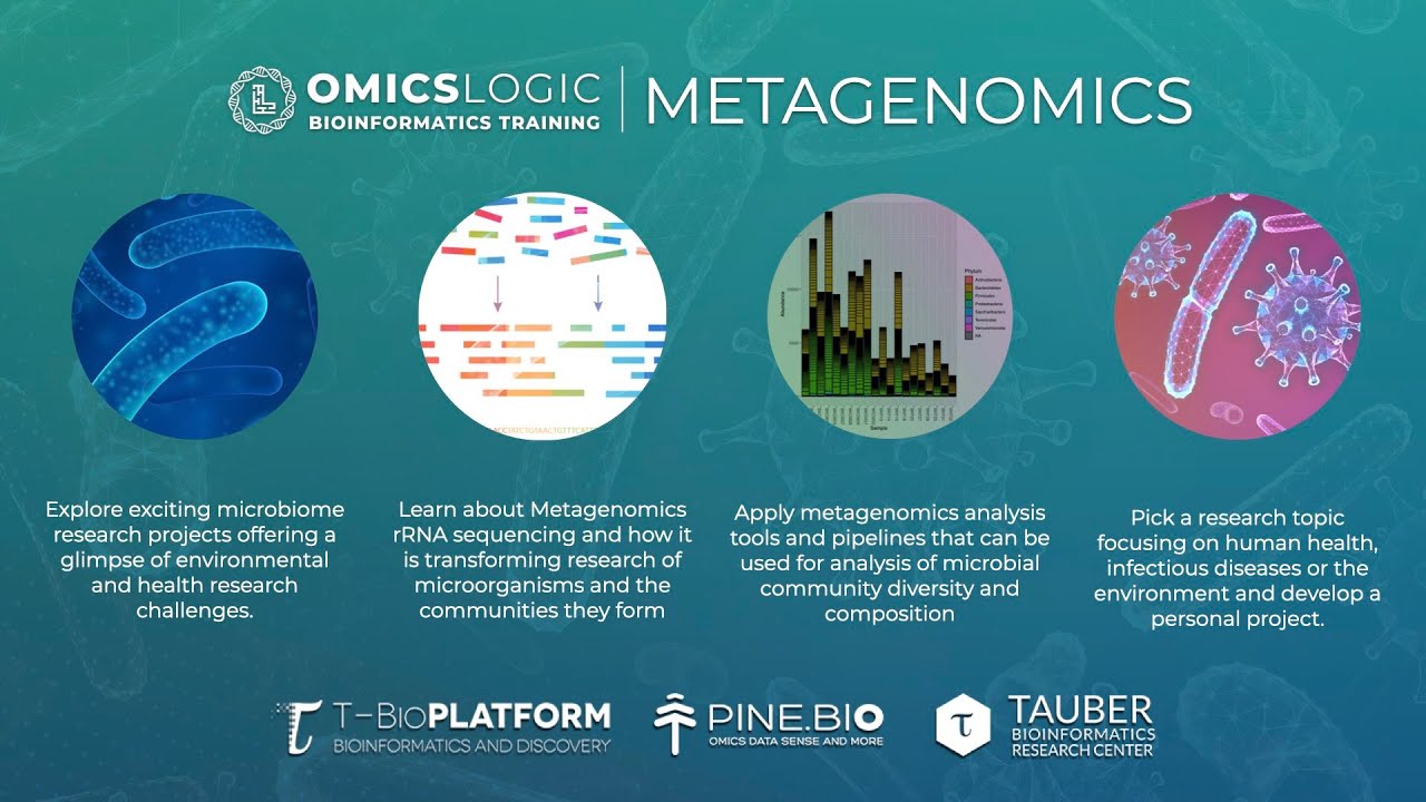 OmicsLogic Metagenomics: Studying Microbiome through Metagenomic Sequence Analysis