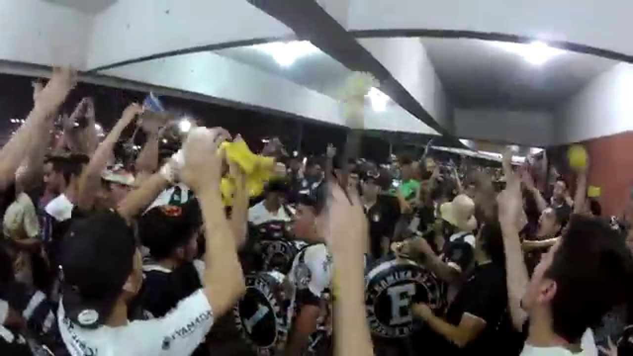 Camisa 33 - Dizem que somos loucos da cabeça - REMO vs cuiabá