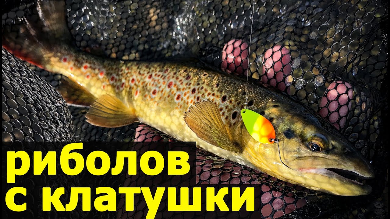 Риболов на пъстърва с клатушки на река Въча