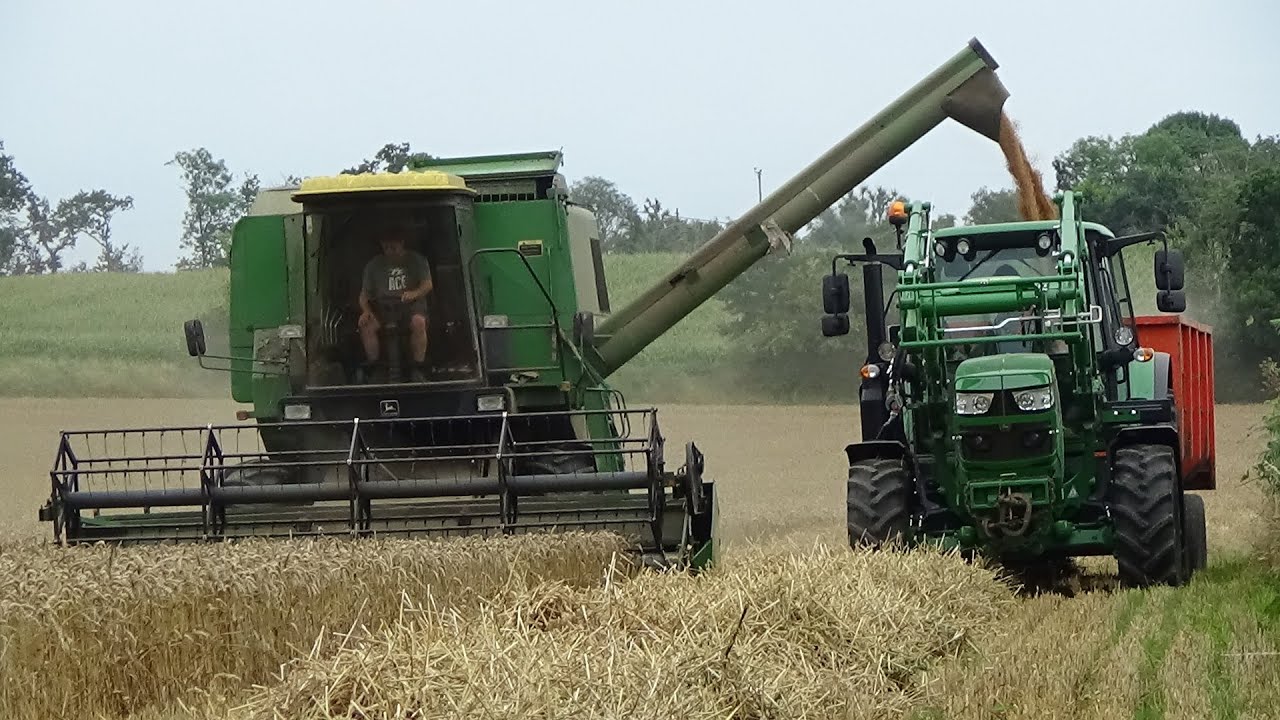 Combining Wheat with John Deere 1075 plus NEW 6120M carting