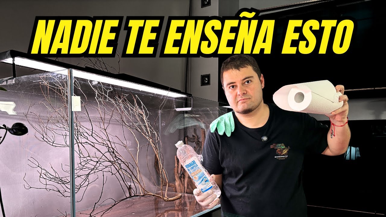 DESMONTAMOS un ACUARIO 💔 (Paso a Paso) #firemouthaquaristic