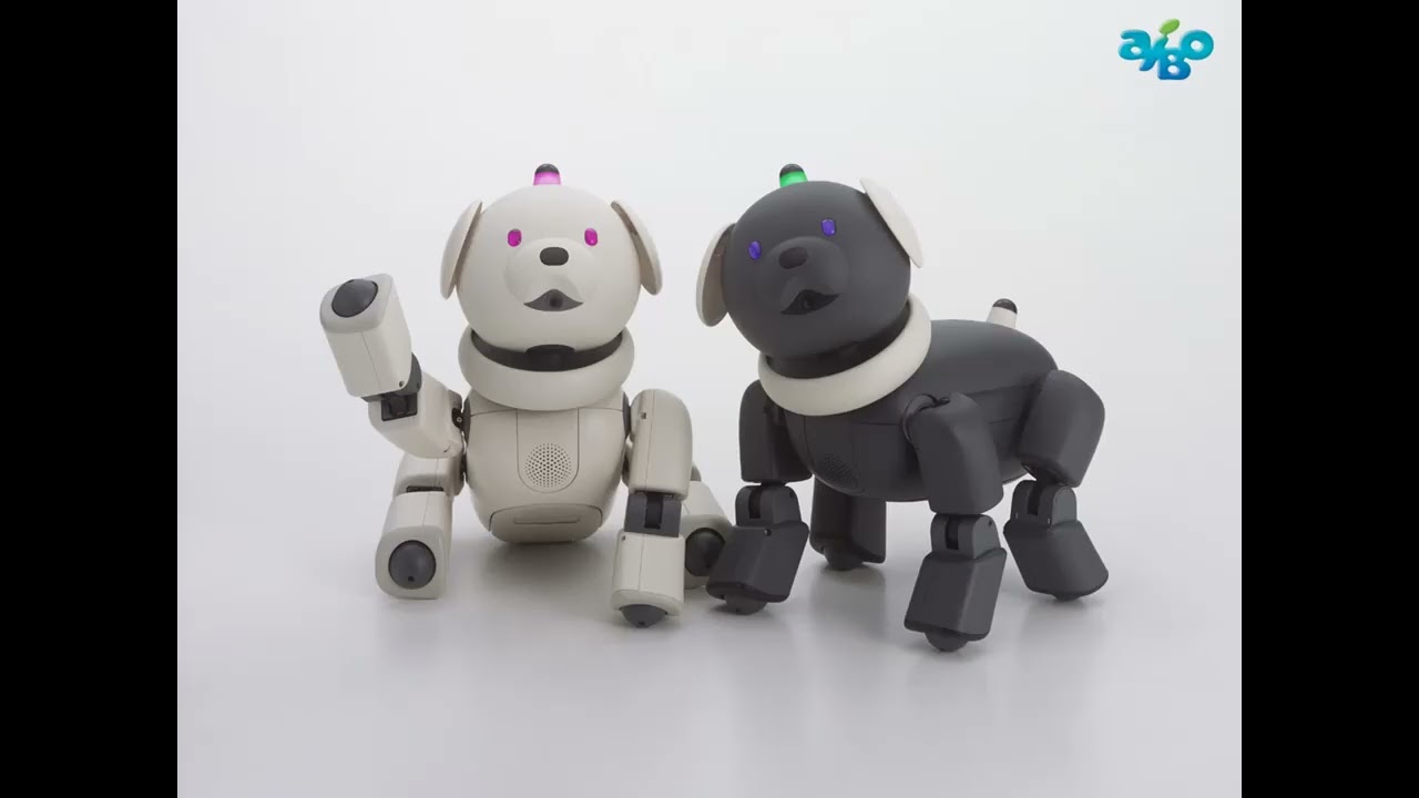 AIBO - Latte & Macaron Promo Ad (BGM)