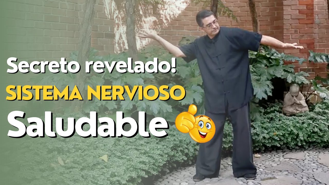 Equilibra Tu Sistema Nervioso con Chi Kung y Tai Chi: Secretos Revelados