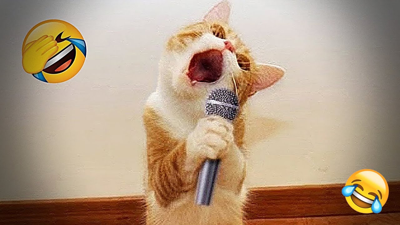 You Laugh You Lose 😂 Funniest Cats and Dogs 2026😺🦴 Part 5