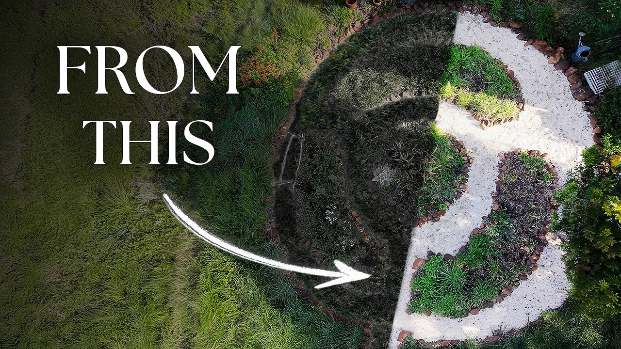 Reclaiming an Overgrown Garden (Off-Grid Life | No-Dig)
