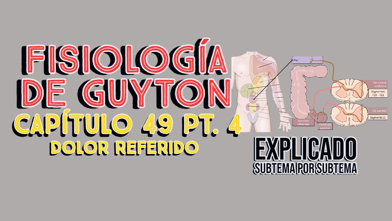 CAP 49 4/6: Dolor referido (dolor visceral) y dolor parietal l Fisiolog&iacute;a de Guyton