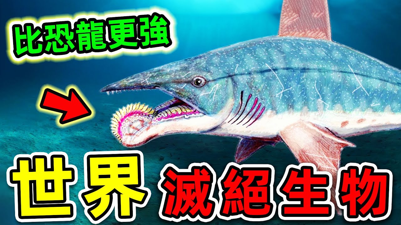 比恐龍更可怕的10種滅絕生物！巨齒鯊只能排第6，第一名堪稱&ldquo;生物粉碎機&rdquo;，把鯨魚當食物吃。|#世界之最top #世界之最 #出類拔萃 #腦洞大開 #top10 #滅絕生物