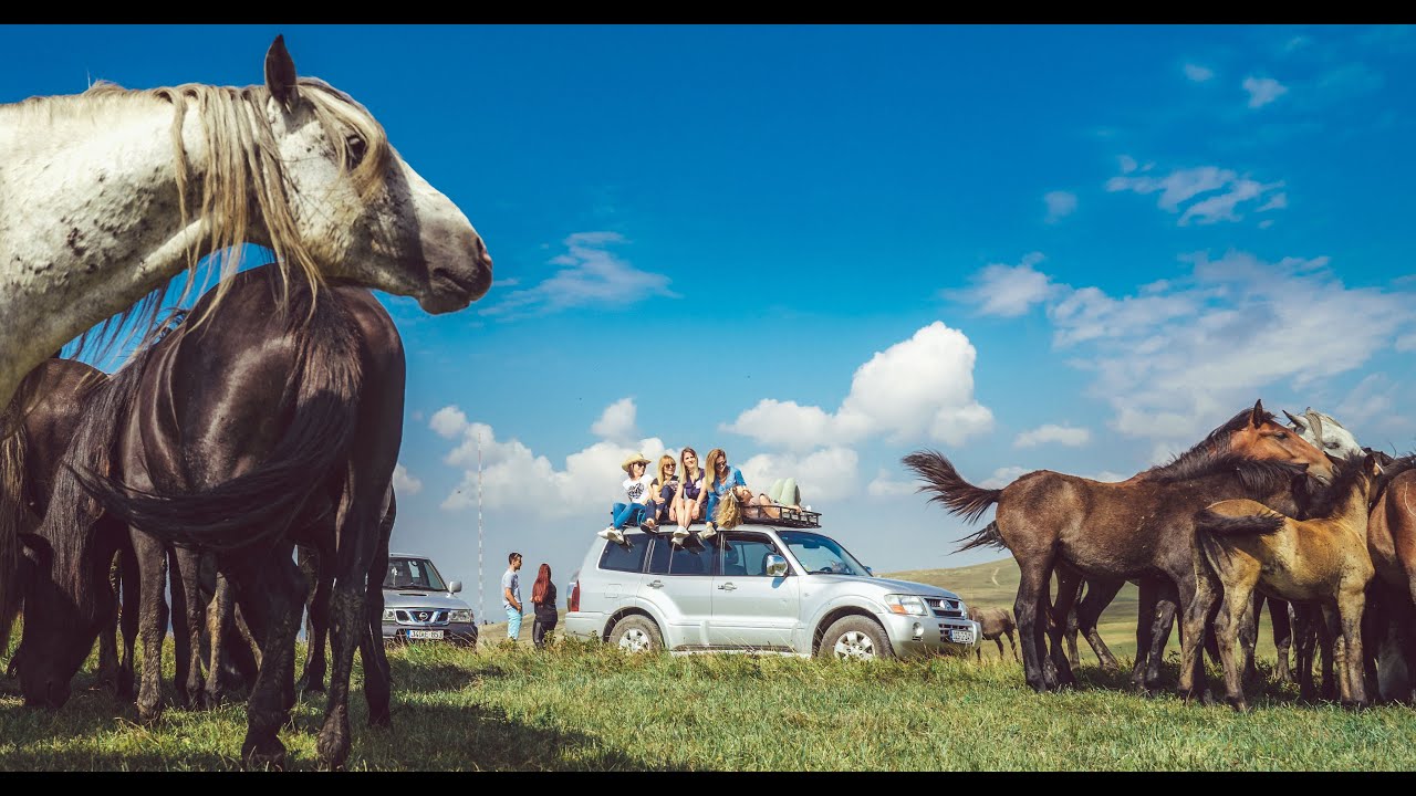POČETAK - Livno, divlji konji, Kruge, turizam....