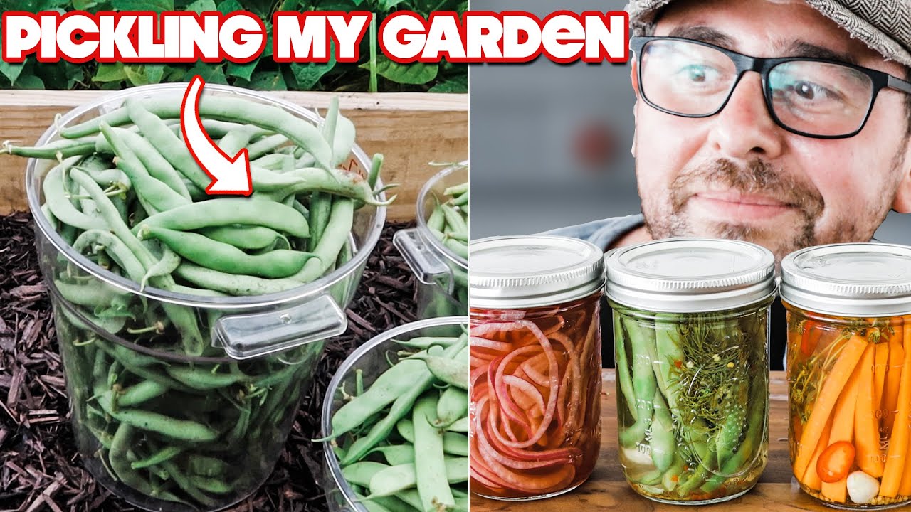 I Can't Believe My Garden Had This MANY Vegetables to Pickle Already