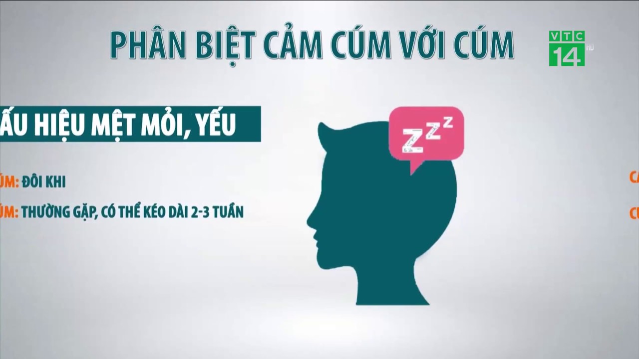 VTC14 | C&aacute;ch ph&acirc;n biệt cảm c&uacute;m với bệnh c&uacute;m