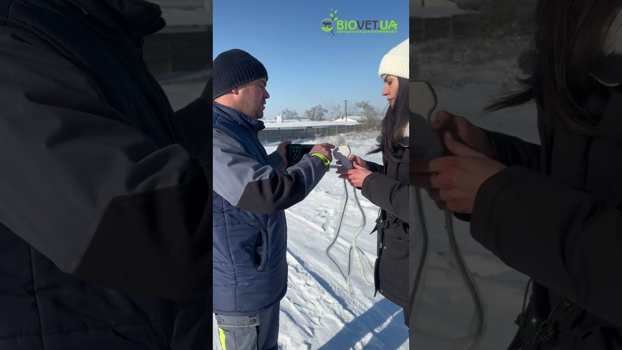 УЗД апарат для свинарства KX5600L, Kaixin 🐖