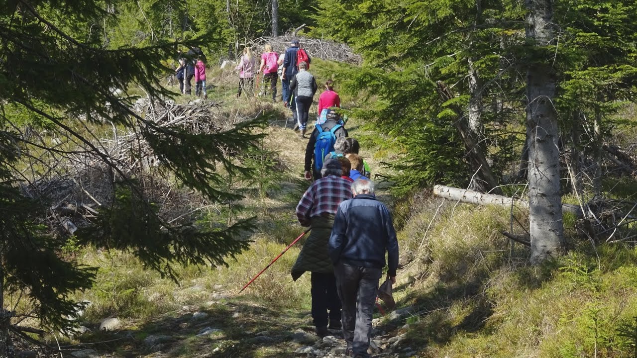 Jarná vychádzka turistov z Pribyliny