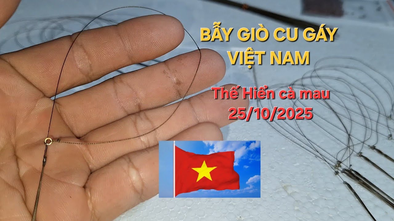 bẫy giò chim cu gáy. Mẫu giò việt nam cáp se7 Thế Hiển cà mau .0914.395.359 @THEHIEN_CAMAU 