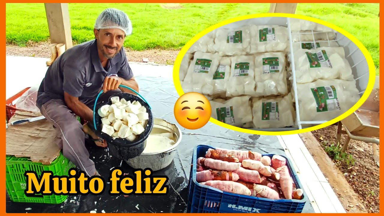 Larguei as hortaliças para produzir mandioca, ótima escolha. 