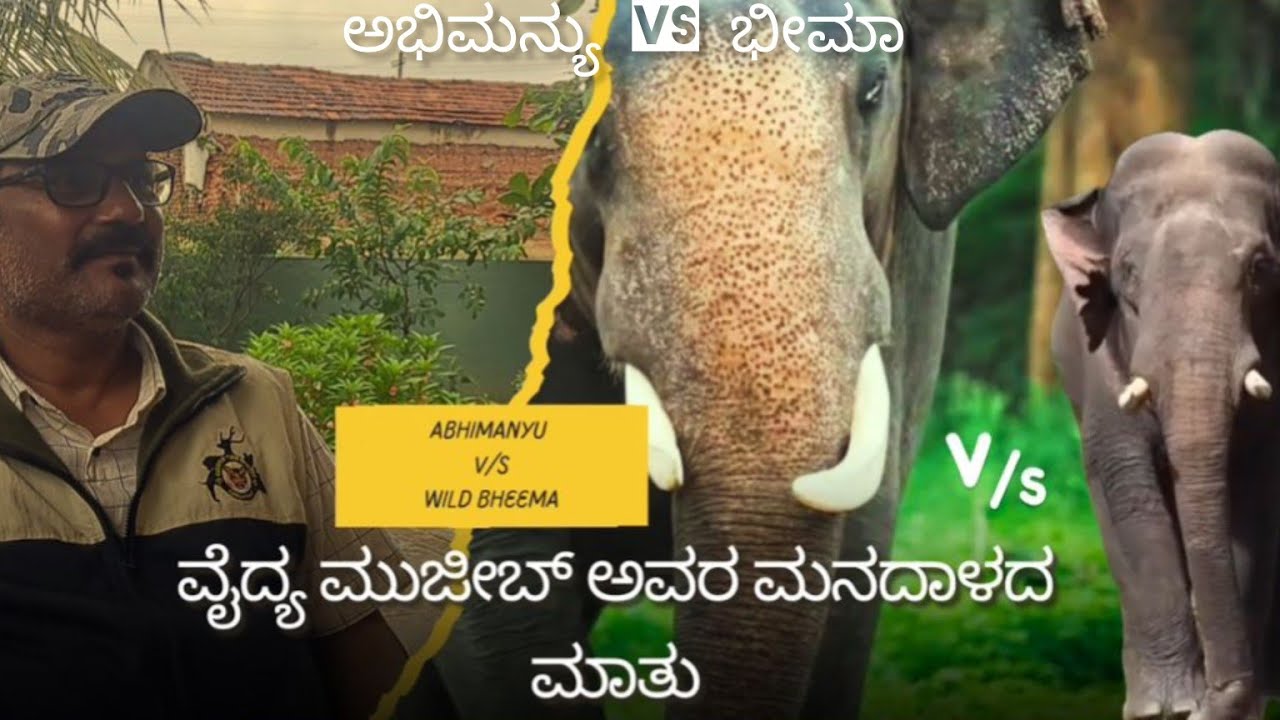 ಅಭಿಮನ್ಯು  ಇಲ್ಲದೆ ಕಾರ್ಯಚರಣೆ  ಹೇಗೆ ಆಗುತ್ತದೆ ? ಅಭಿಮನ್ಯು ಟ್ರಂಪ್ ಕಾರ್ಡ್ ಕಾರ್ಯಚರಣೆಗೆ ...ಡಾ. ಮುಜೀಬ್ 🔥🔥