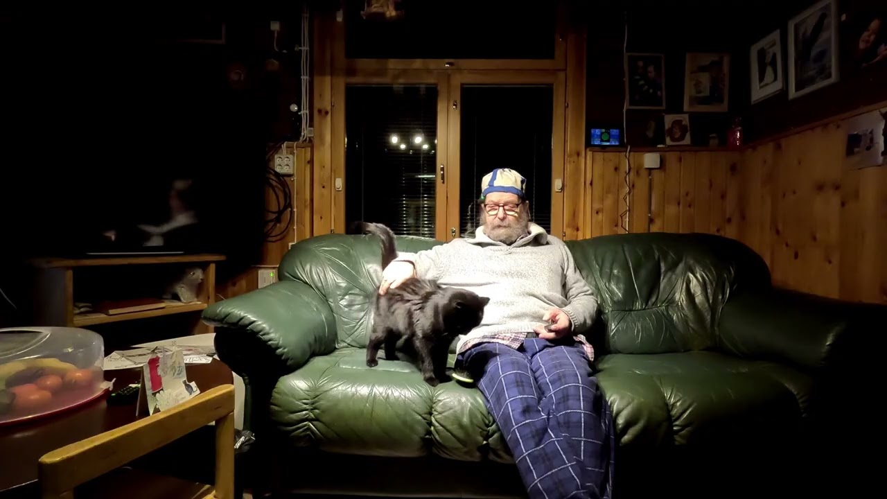 Korvessa eläjä Oskari ,Näin unta Miisu kissa puhuu.