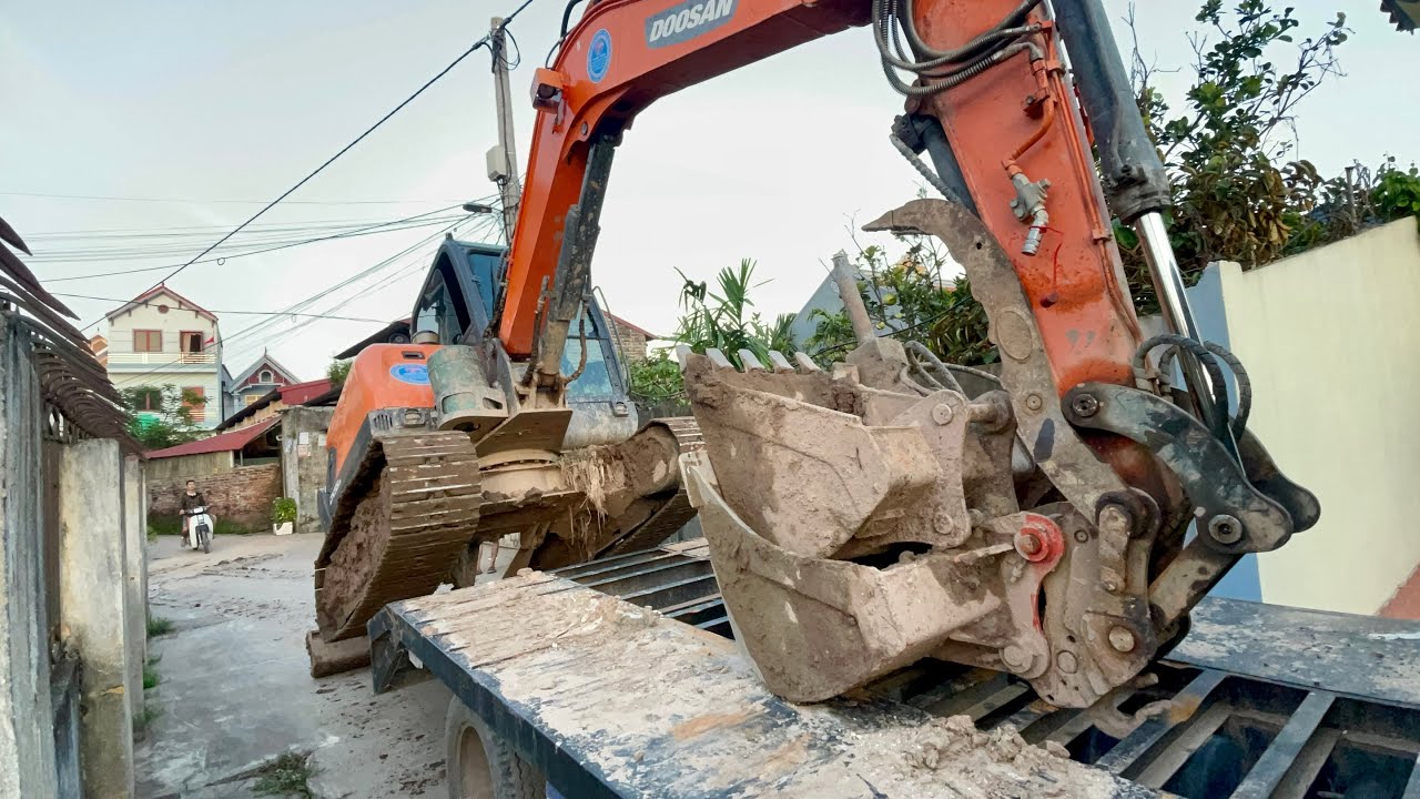 CẬU BÉ LÁI MÁY XÚC TRIỆU VIEW LEO LÊN Ô TÔ TẢI HOA MAI CHỞ ĐẾN CÔNG TRƯỜNG | EXCAVATOR TRUCK