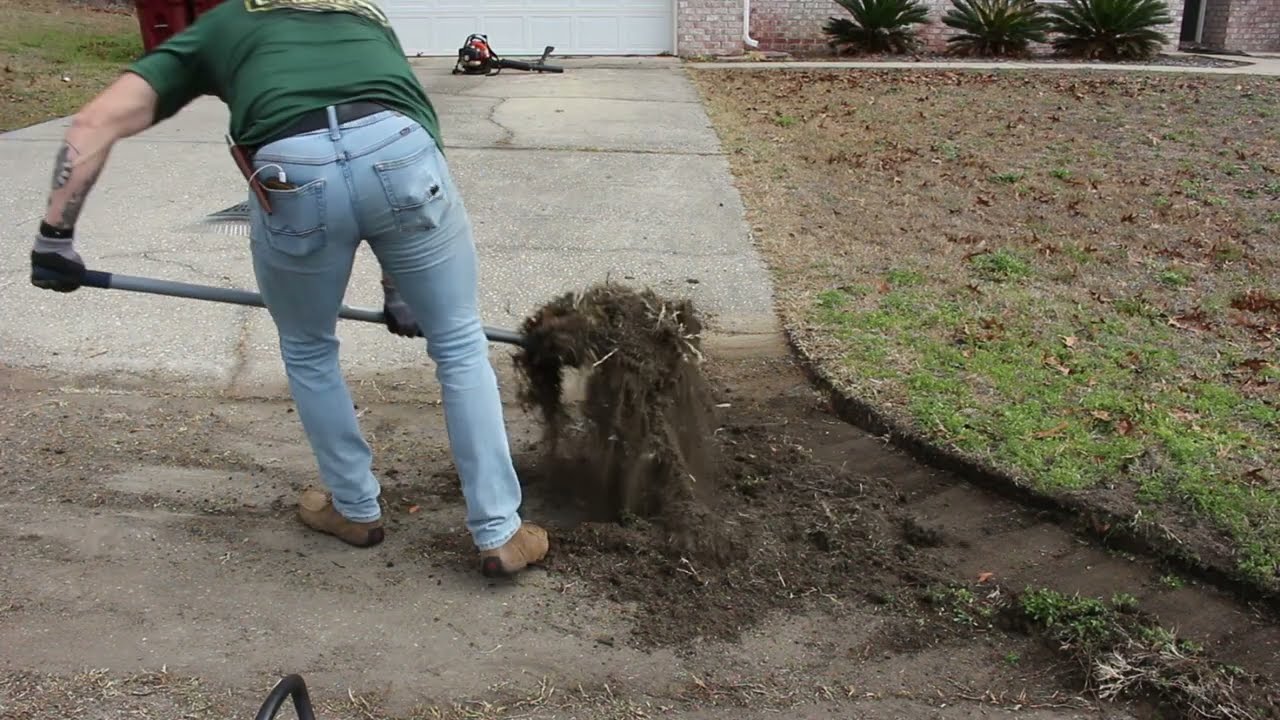 Most Satisfying Yard Cleanup Ever 😮‍💨🌿