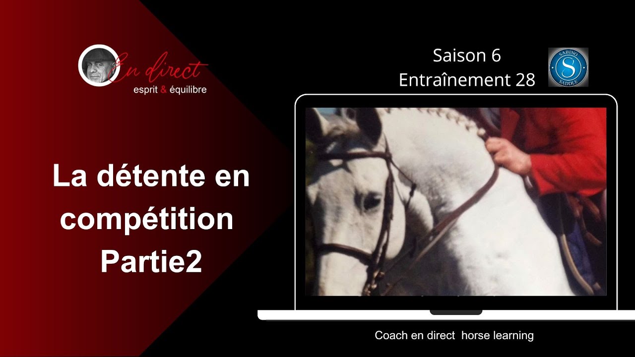 La détente en compétition  Partie 2 les obstacles @coachendirecthorselearning