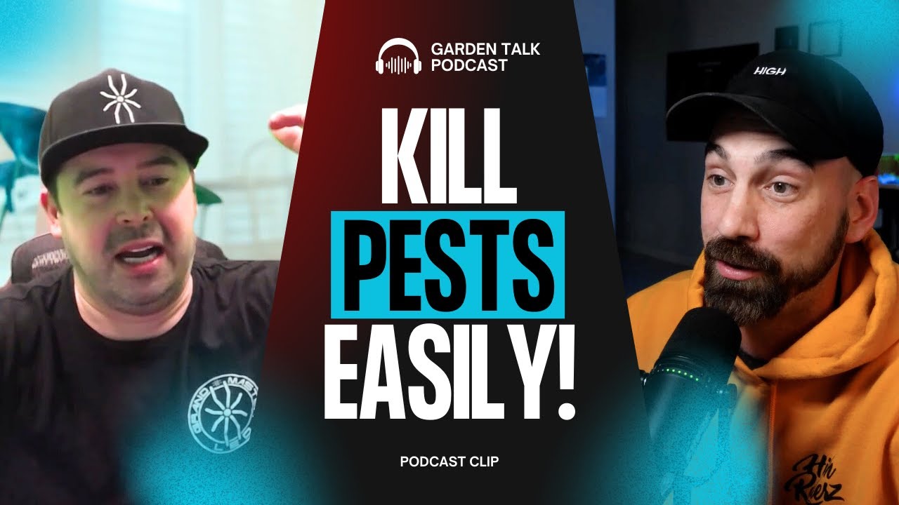 Using UV-C Light to Control Pests &ndash; Does It Really Work?