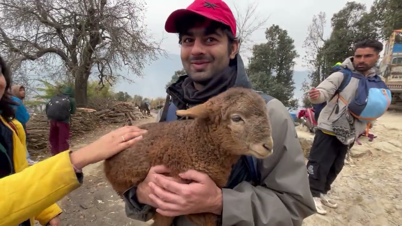 Dalhousie Trek Day 5 | Mangla Village Camp | Life in the Mountains | YHAI
