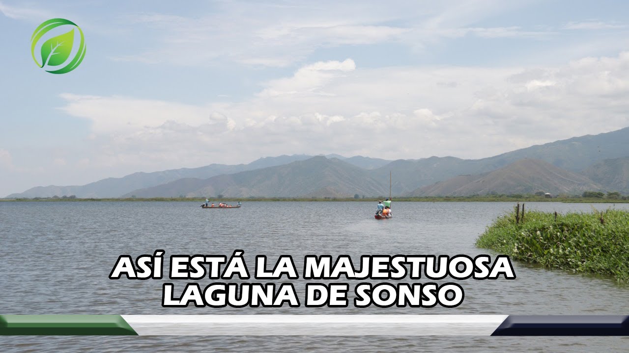 Así está la majestuosa Laguna de Sonso
