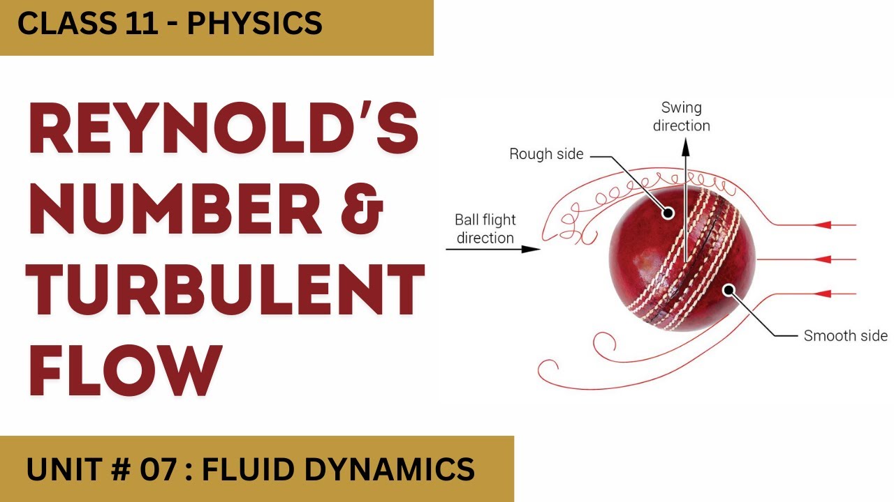 Reynolds Number and Turbulent Flow| Unit 7 Fluid Dynamics| Class 11 Physics