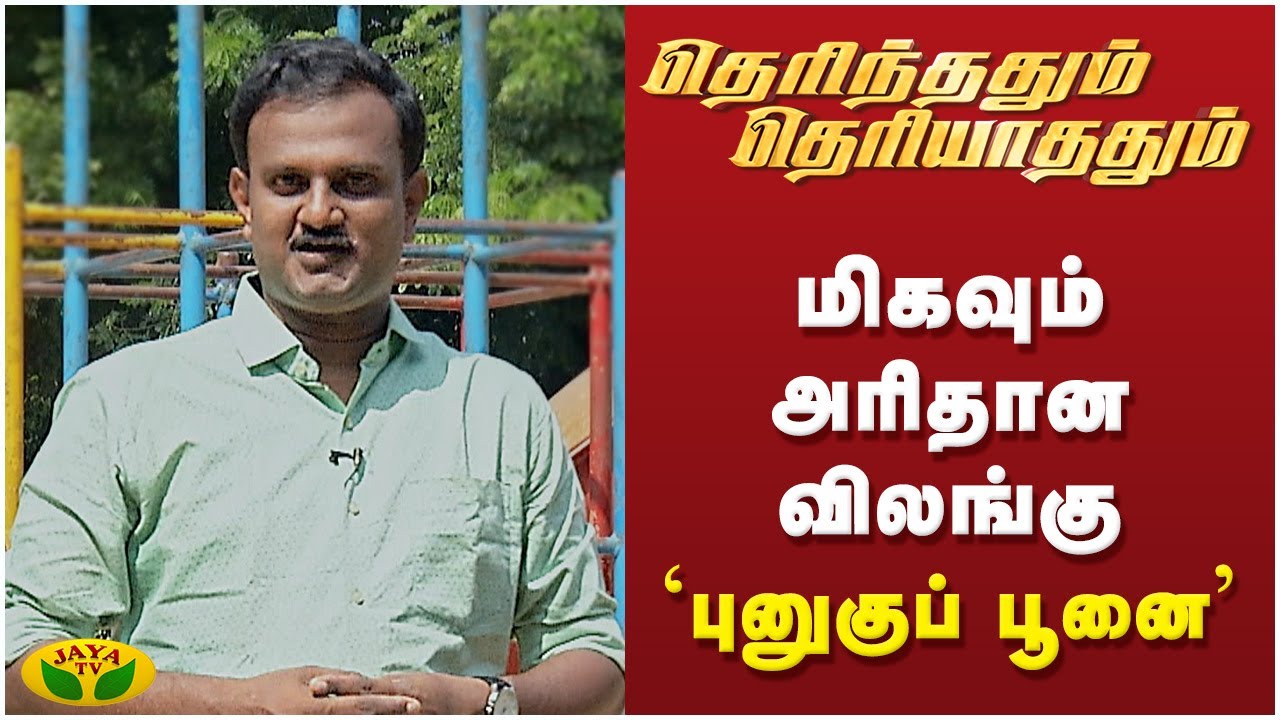 மிகவும் அரிதான விலங்கு 'புனுகுப் பூனை' | தெரிந்ததும் தெரியாததும் | Kaalai Malar | Epi - 30 | JayaTv