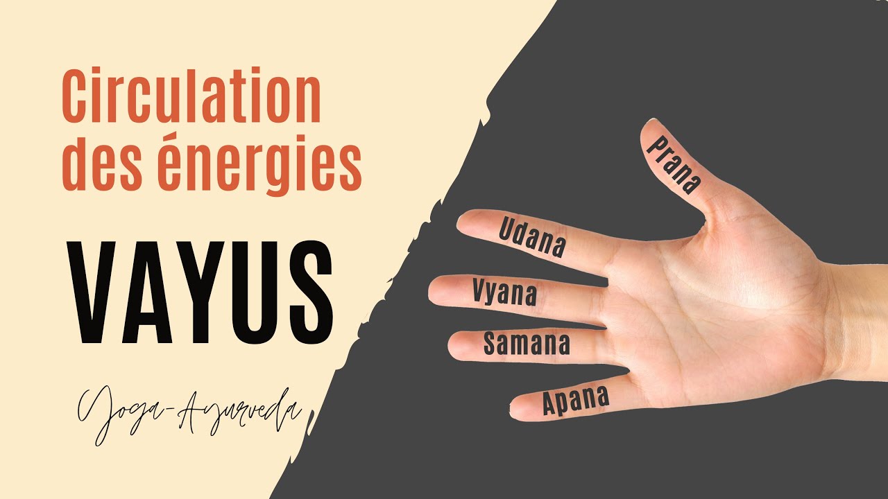 Circulation des &eacute;nergies -  5 Vayus