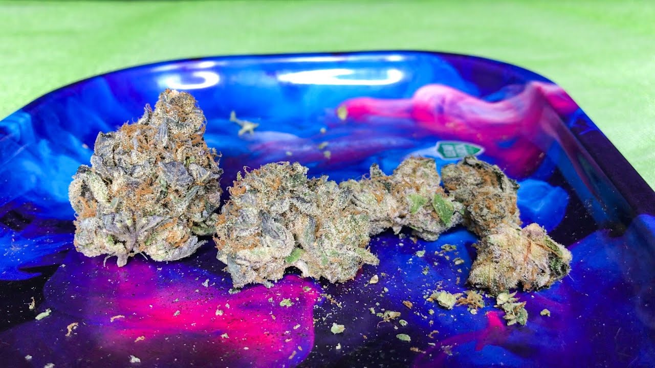 Purple Punch Strain Review!