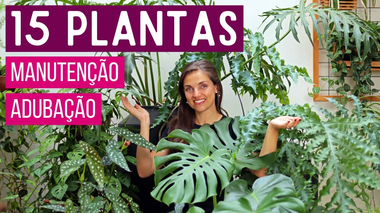 COMO FAZER ADUBAÇÃO e MANUTENÇÃO de PLANTAS DENTRO de CASA